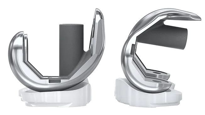 Revisione Evolution® - Femore Stemmed CS Evolution cs knee insert 1