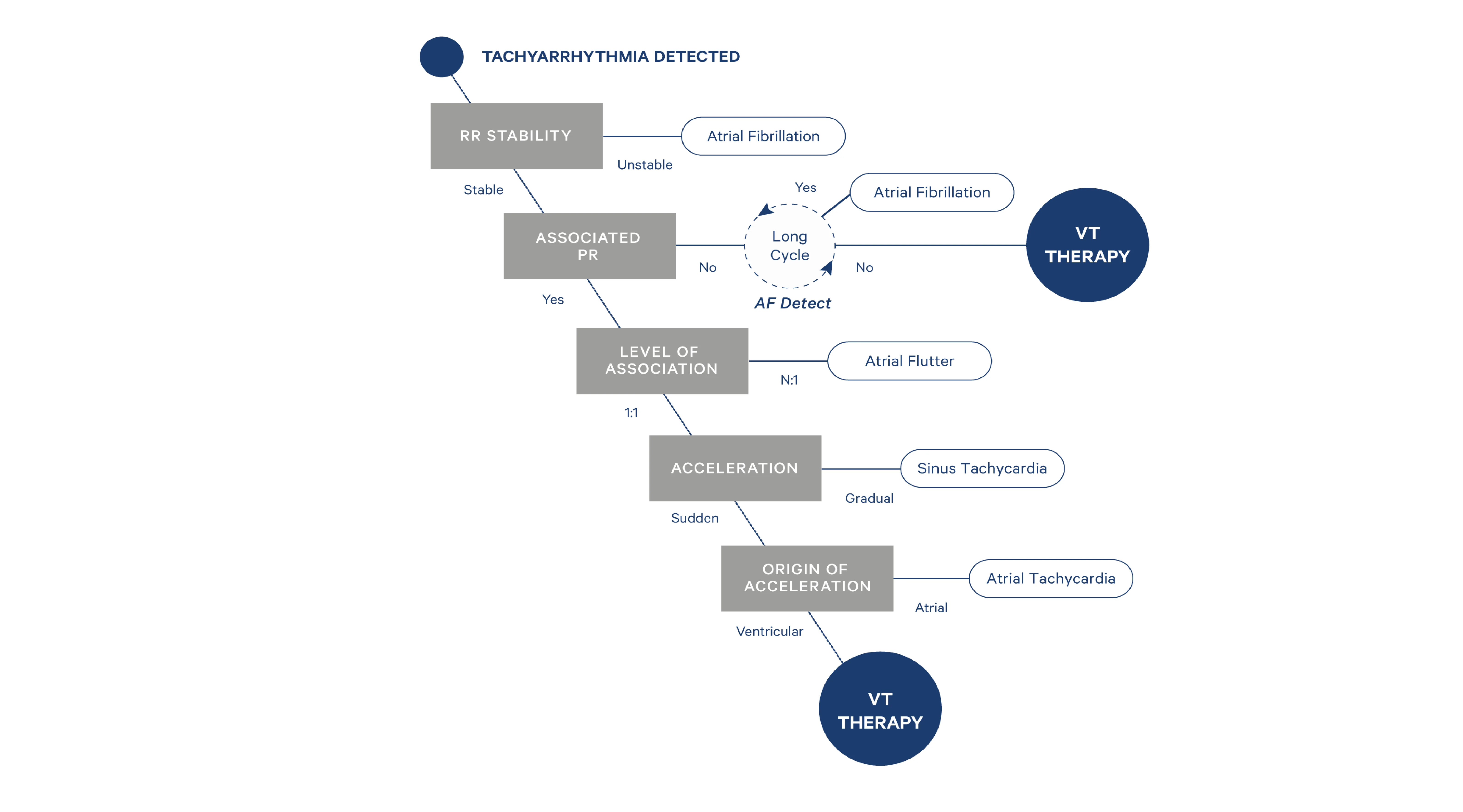 PARAD+™ Graph parad plus en 2020 1