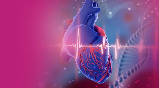 Bradicardia Patients Abnormal Heartbeat bradycardia2 1