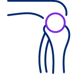 PICTO Orthopedics Knees Secondary purple